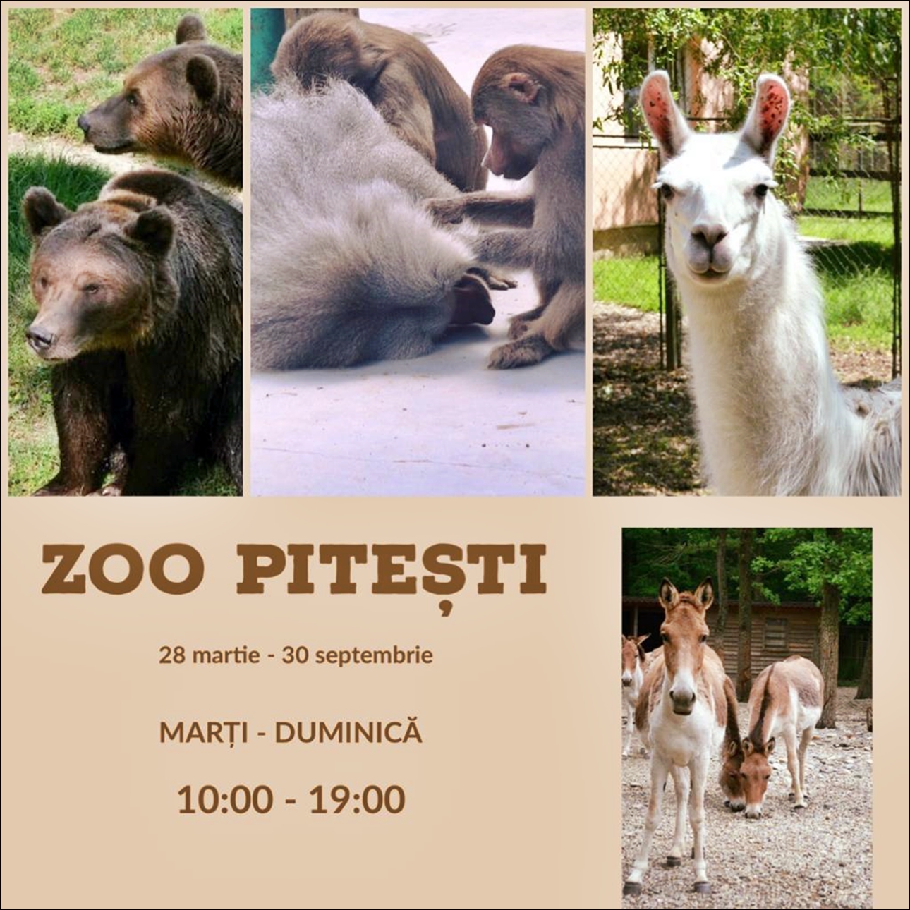 Grădina Zoologică din Pitești trece la programul de vară!